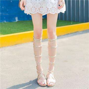 2023澳门管家婆资料正版大全手机app下载